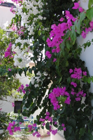 Castle View Apartments Haraki - Rhodos - Greece ,,...