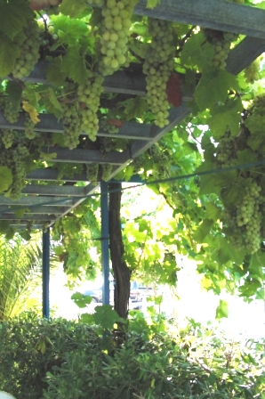 Castle View Apartments Haraki - Rhodos - Greece ,,,,.